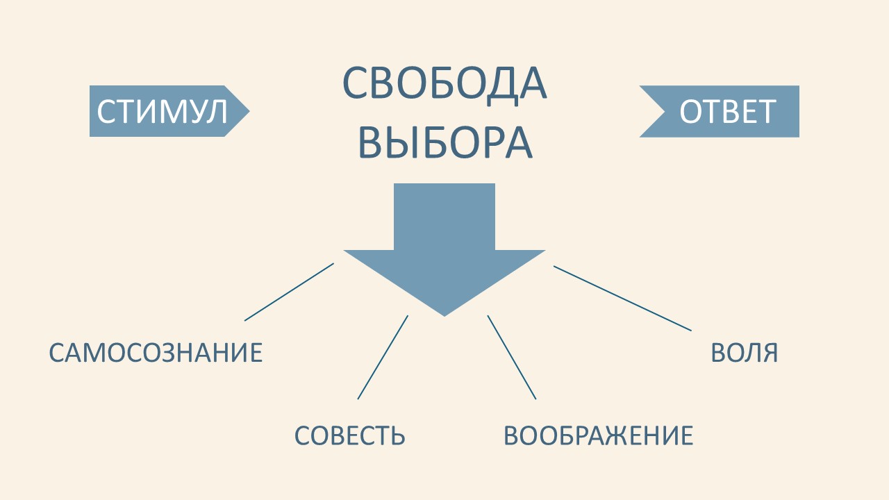 4 человеческих дара