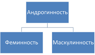 Анрогинность.