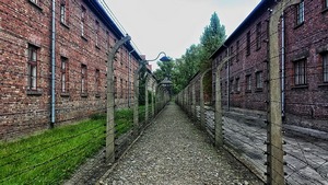 Концлагерь Освенцим.
