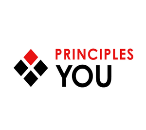 Тест личности principlesyou.com